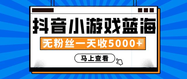赚钱计划：抖音小游戏蓝海项目，无粉丝一天收入5000+-南青云资源库