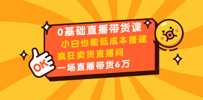 0基础直播带货课：小白也能低成本搭建疯狂卖货直播间：1场直播带货6万-南青云资源库