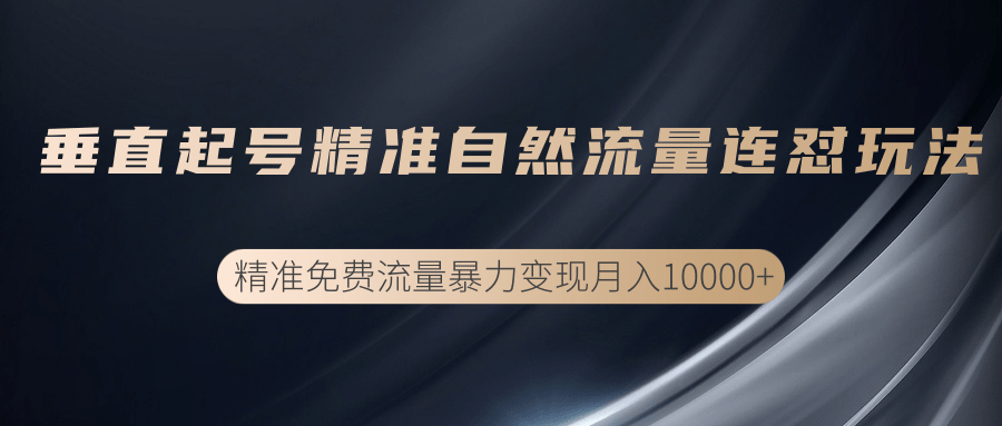 垂直起号精准自然流量连爆玩法，精准引流暴力变现月入10000+-南青云资源库