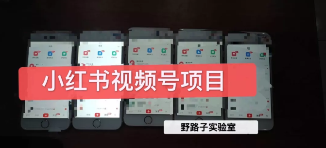 野路子小红书视频号1.0项目，直接上手操作就能赚钱的视频号项目-南青云资源库