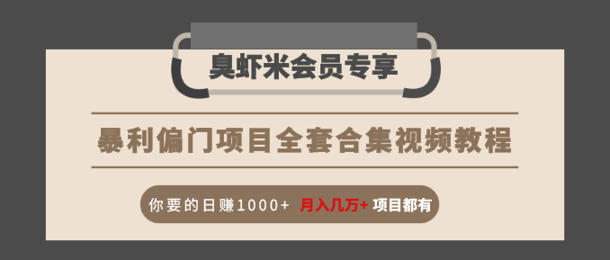 暴利偏门项目全套合集视频教程：你要的日赚1000+月入几万+项目都有-南青云资源库