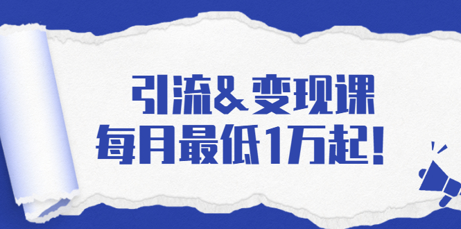 引流&变现课：分享一整套流量方法以及各个渠道收入，每月最低1万起！-南青云资源库