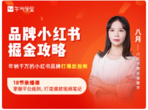 品牌小红书掘金攻略，年销千万的小红书品牌打爆款指南-南青云资源库