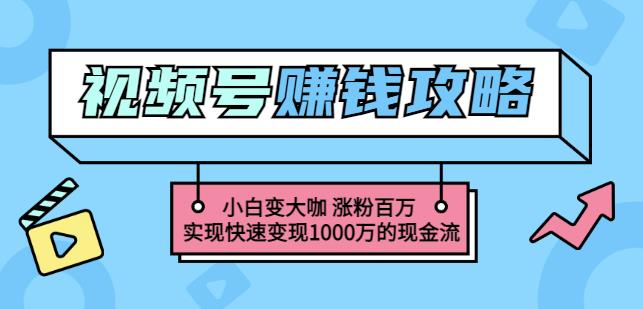 玩转微信视频号赚钱：小白变大咖涨粉百万实现快速变现1000万的现金流-南青云资源库