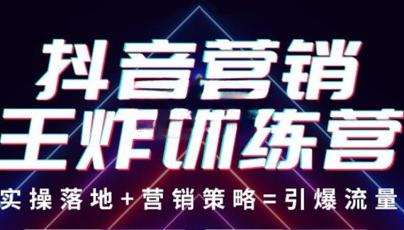 抖音营销王炸训练营，实操落地+营销策略=引爆流量（价值8960元）-南青云资源库