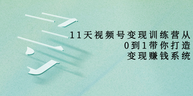 11天视频号变现训练营，从0到1打造变现赚钱系统（价值398元）-南青云资源库