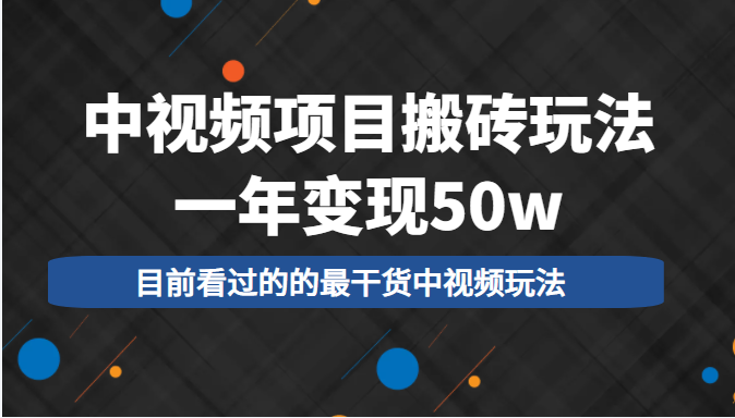 中视频项目搬砖玩法，一年变现50w，目前看过的的最干货中视频玩法-南青云资源库