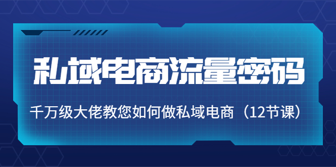 私域电商流量密码：千万级大佬教您如何做私域电商（12节课）-南青云资源库