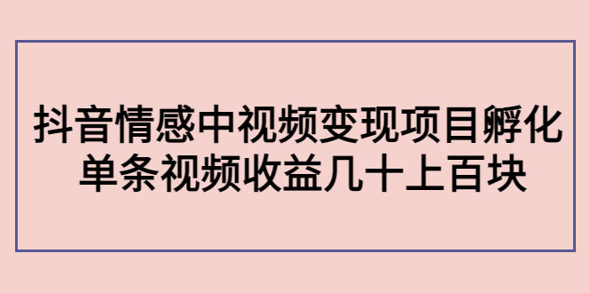 副业孵化营第5期：抖音情感中视频变现项目孵化 单条视频收益几十上百-南青云资源库