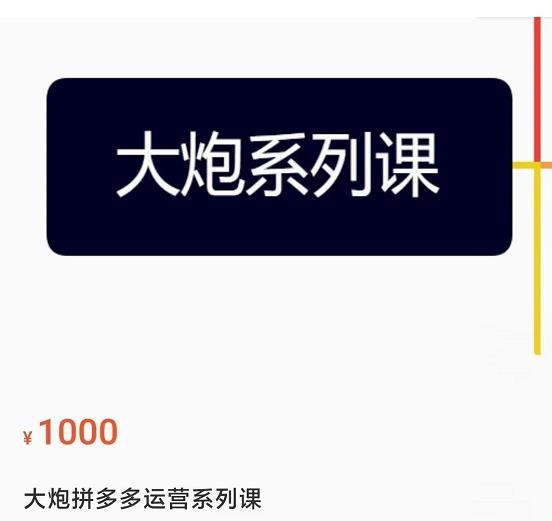 大炮拼多多运营系列课，各类​玩法合集，拼多多运营玩法实操-南青云资源库