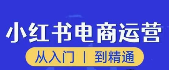 顽石小红书电商高阶运营课程，从入门到精通，玩法流程持续更新-南青云资源库