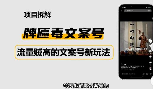 2023抖音快手毒文案新玩法，牌匾文案号，起号快易变现-南青云资源库