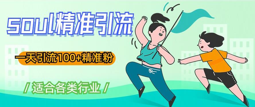 soul精准引流系列课程，一天引流100+精准粉，适合各类行业-南青云资源库