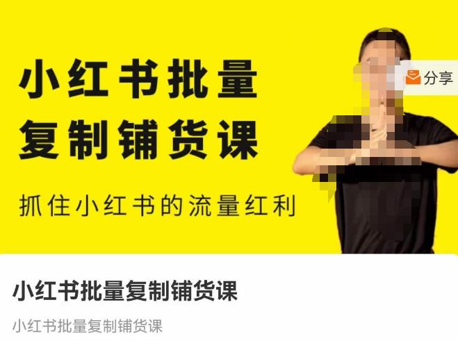张宾·小红书批量复制铺货课，抓住小红书的流量红利 （更新2023年2月）-南青云资源库