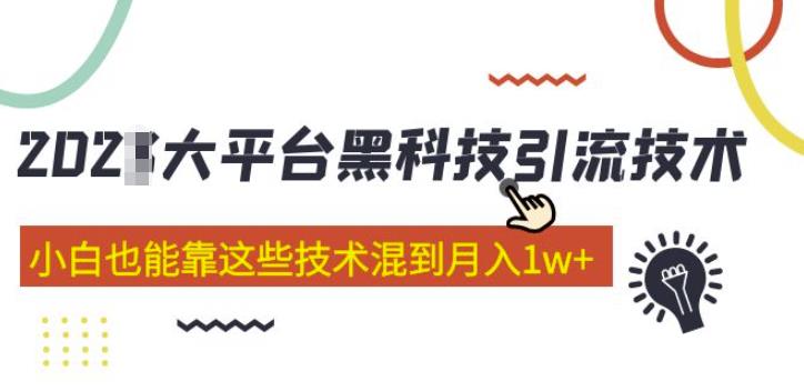 大平台黑科技引流技术，小白也能靠这些技术混到月入1w+(2022年的课程）-南青云资源库