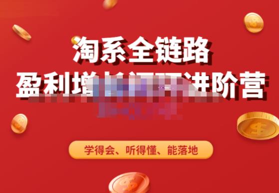 淘系全链路盈利增长闭环进阶营，融合全店动销，学得会、听得懂、能落地！-南青云资源库