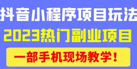 抖音小程序9.0新技巧，2023热门副业项目，动动手指轻松变现-南青云资源库
