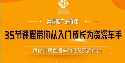 35节课程带你从入门成长为资深车手，让系统学习直通车成为可能，帮你实现直通车的低花费高产出-南青云资源库