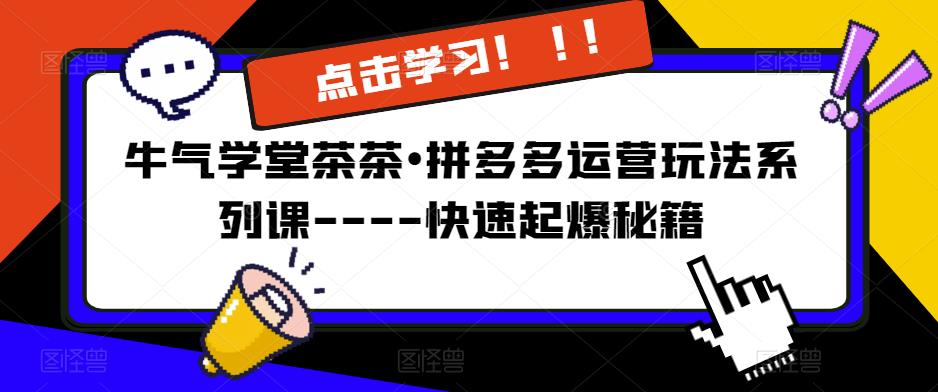 牛气学堂茶茶•拼多多运营玩法系列课—-快速起爆秘籍【更新】-南青云资源库
