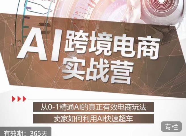 白龙老师·AI跨境电商实战营：从0-1精通Al的真正有效电商玩法，卖家如何利用Al快速超车-南青云资源库