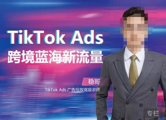 稳哥·如何投出高ROI的TikTok广告，开拓独立站卖家流量新蓝海-南青云资源库