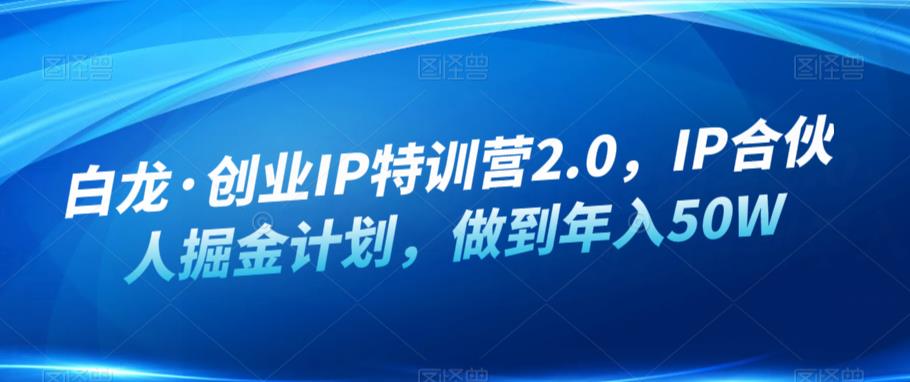 白龙·创业IP特训营2.0，IP合伙人掘金计划，做到年入50W-南青云资源库