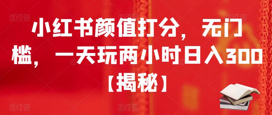 小红书颜值打分，无门槛，一天玩两小时日入300+【揭秘】-南青云资源库