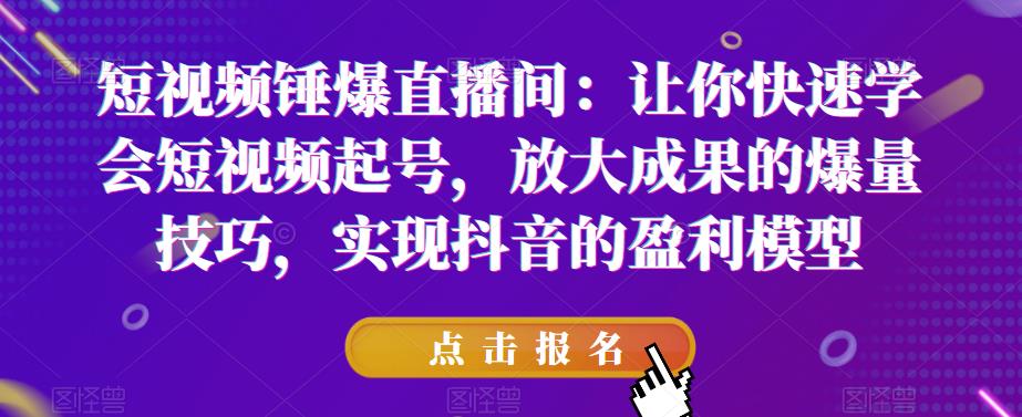 短视频锤爆直播间：让你快速学会短视频起号，放大成果的爆量技巧，实现抖音的盈利模型-南青云资源库