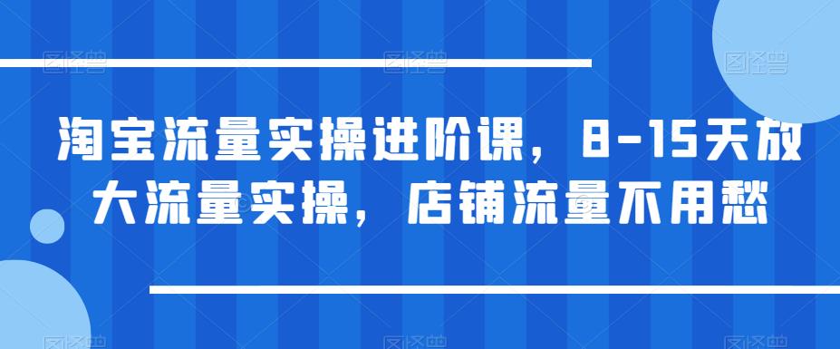淘宝流量实操进阶课，8-15天放大流量实操，店铺流量不用愁-南青云资源库