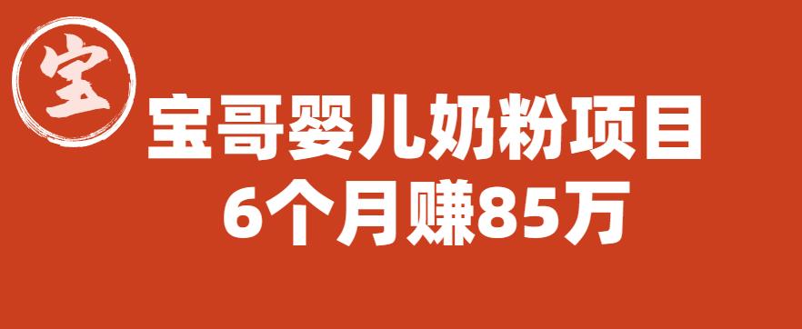 宝哥婴儿奶粉项目，6个月赚85w【图文非视频】【揭秘】-南青云资源库