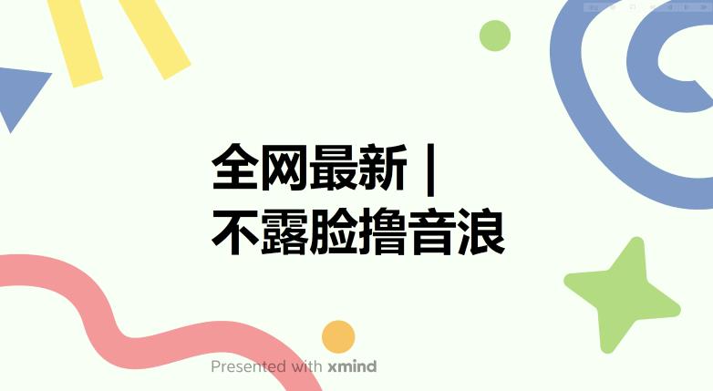 全网最新不露脸撸音浪，跑通自动化成交闭环，实现出单+收徒收益最大化【揭秘】-南青云资源库