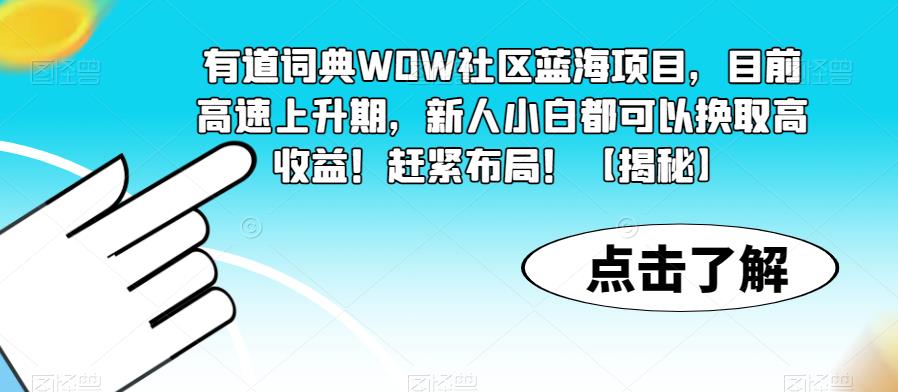 有道词典WOW社区蓝海项目，目前高速上升期，新人小白都可以换取高收益！赶紧布局！【揭秘】-南青云资源库