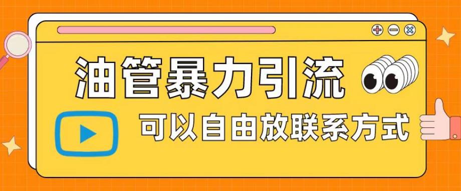 油管暴力引流，可以自由放联系方式【揭秘】-南青云资源库