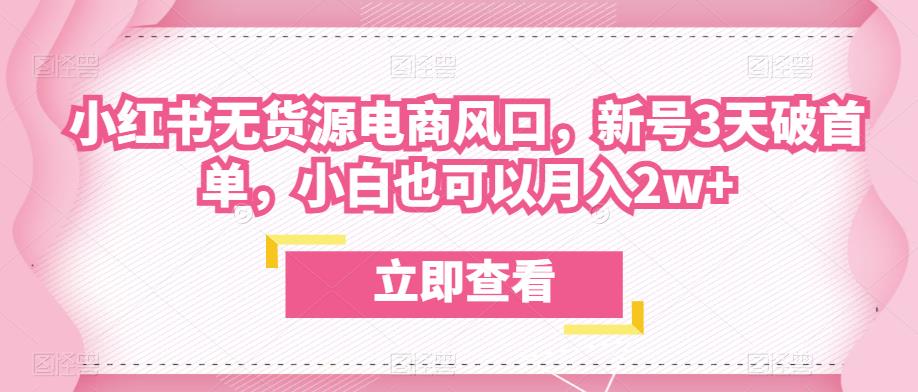 众狼电商余文小红书无货源电商风口，新号3天破首单，小白也可以月入2w+-南青云资源库