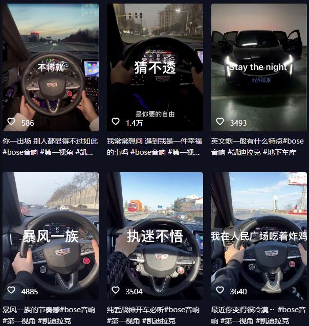抖音开车视频项目，0基础操作，每天五分钟，月入1W+【揭秘】-南青云资源库