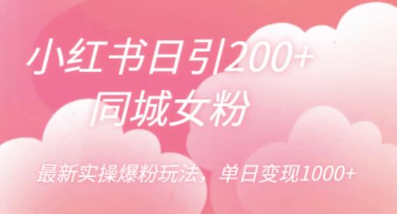 小红书日引200+同城女粉，最新实操爆粉玩法，单日变现1000+【揭秘】-南青云资源库