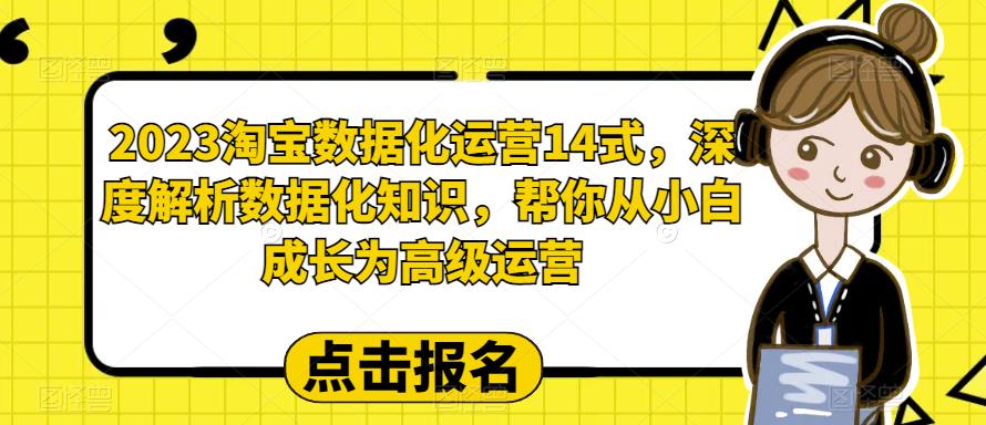 2023淘宝数据化运营14式，深度解析数据化知识，帮你从小白成长为高级运营-南青云资源库
