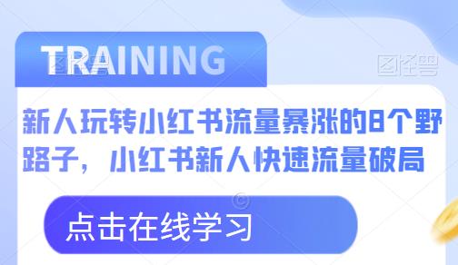 新人玩转小红书流量暴涨的8个野路子，小红书新人快速流量破局-南青云资源库
