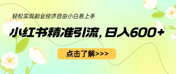 小红书精准引流，小白日入600+，轻松实现副业经济自由（教程+1153G资源）-南青云资源库