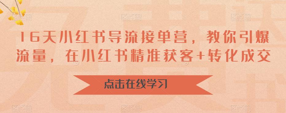 16天小红书导流接单营，教你引爆流量，在小红书精准获客+转化成交-南青云资源库