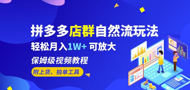 拼多多店群自然流玩法，轻松月入1W+保姆级视频教程（附上货、拍单工具）-南青云资源库