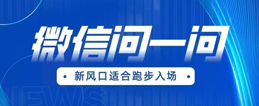 全网首发微信问一问新风口变现项目（价值1999元）【揭秘】-南青云资源库