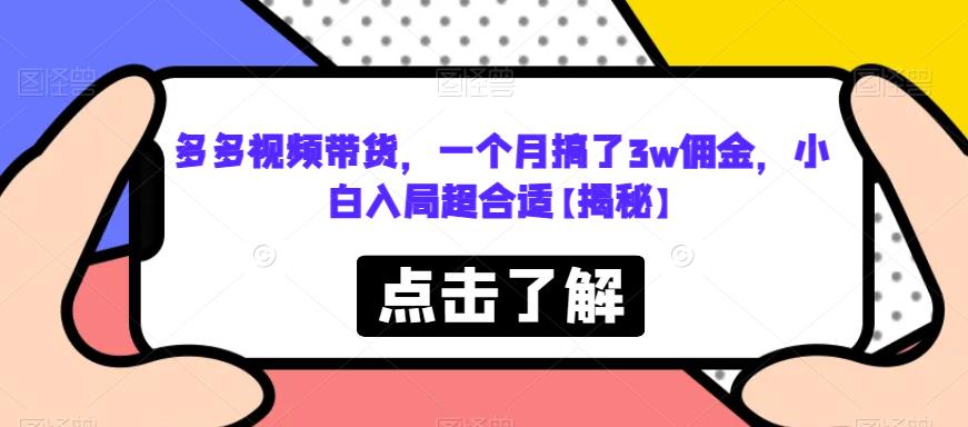 多多视频带货，一个月搞了3w佣金，小白入局超合适【揭秘】-南青云资源库