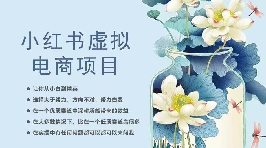 小红书虚拟电商从0到1，让你从小白到精英（20节实操课程）-南青云资源库
