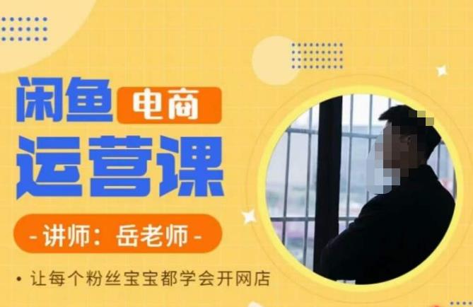 岳老师·闲鱼电商运营课，让每个粉丝宝宝都学会开网店-南青云资源库