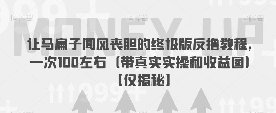 让马扁子闻风丧胆的终极版反撸教程，一次100左右（带真实实操和收益图）【仅揭秘】-南青云资源库