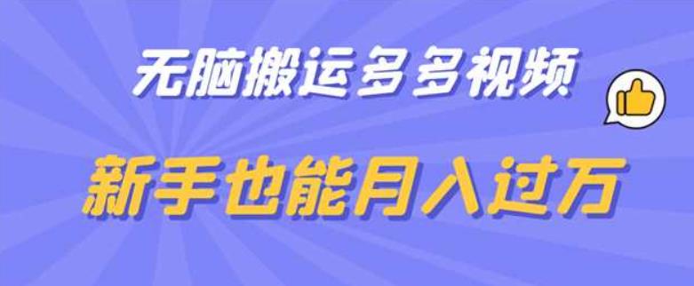 无脑搬运多多视频，新手也能月入过万【揭秘】-南青云资源库