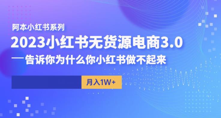 阿本小红书无货源电商3.0，告诉你为什么你小红书做不起来-南青云资源库