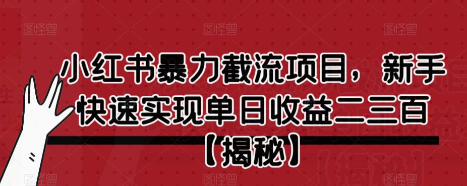 小红书暴力截流项目，新手快速实现单日收益二三百【仅揭秘】-南青云资源库