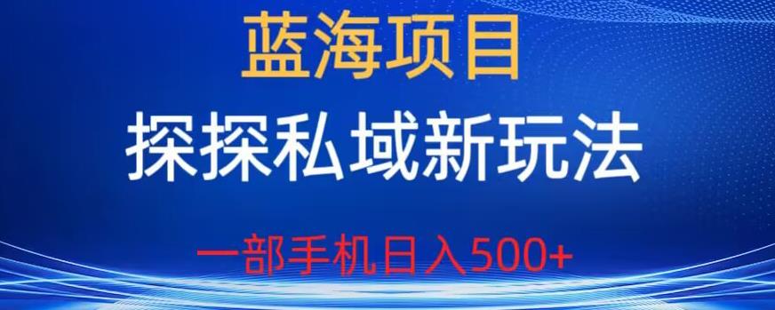 蓝海项目，探探私域新玩法，一部手机日入500+很轻松【揭秘】-南青云资源库